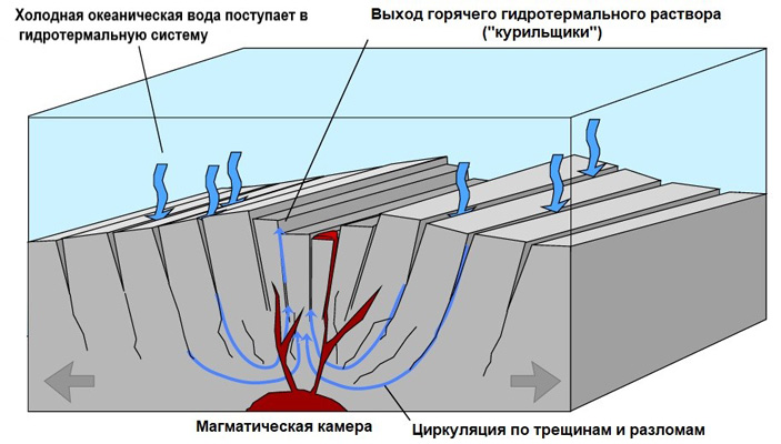 Рис. 6. Схема циркуляции гидротермальных растворов в районе срединно-океанических хребтов